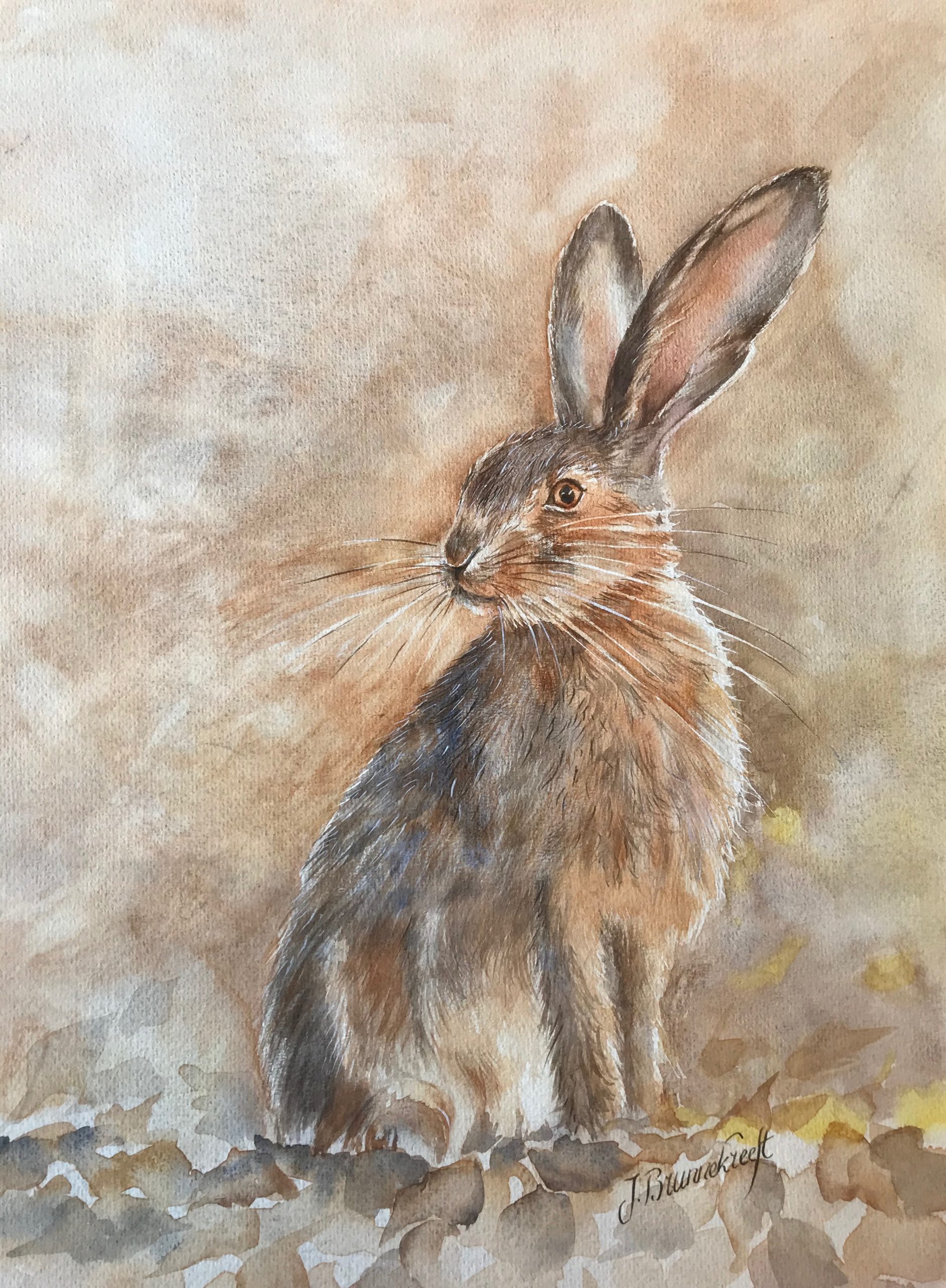 Hare | Size 40 x 50 cm